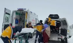 Kar Engel Olmadı: 112 Ekipleri 3 Hastayı Kurtardı