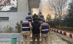 Şırnak'ta asayiş operasyonları: 117 gözaltı