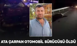 Ata Çarpan Otomobilin Sürücüsü Hayatını Kaybetti