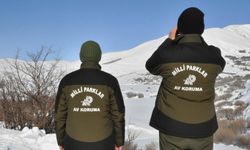 Hakkâri’de yasa dışı avcılığa ağır ceza: 956 bin TL