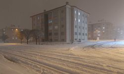 Bitlis’te kar ve fırtına hayatı olumsuz etkiledi