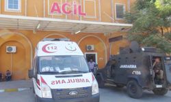 Tırın çarptığı 78 yaşındaki kadın hayatını kaybetti