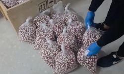 Bitlis’in de aralarında olduğu 72 ilde uyuşturucu operasyonu: 970 gözaltı