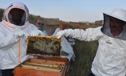 Güroymak’ta Arıcılara Yüzde 75 Hibeli Kovan Desteği Başvuruları Başladı