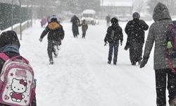 Van'da eğitime kar engeli