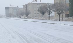 Bitlis’te Kar yağışı Kenti Beyaza Bürüdü