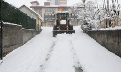 Bitlis’te Kar Nedeniyle Kapanan Köy Yolları Ulaşıma Açıldı