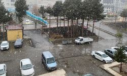 Bitlis’te Kar Yağışı Etkili Oluyor