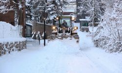 Bitlis’te henüz 181 köy yolu kapalı
