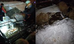 Van’da Karın Ağırlığı Ahırı Çökertti: 5 Küçükbaş Telef Oldu