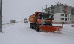 Bitlis Belediyesi 56 araç ve 80 personelle karla mücadele için sahada