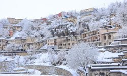 Bitlis’te Kuvvetli Kar Yağışı Bekleniyor