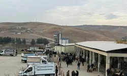 Şap Hastalığı Sonrası Siirt Hayvan Pazarı Yeniden Hizmete Açıldı