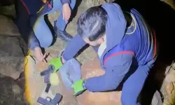 Küçük Kardeşin Ölümüne Neden Olan Ağabey Tutuklandı