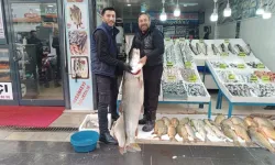 67 Kiloluk Turna Balığı Ziyaretçilerin Gözdesi Oldu