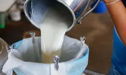 Süt ve Süt Ürünleri İthalatına Geçici Gümrük Vergisi Kararı
