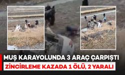 Muş karayolunda 3 aracın karıştığı zincirleme kazada 1 ölü, 2 yaralı