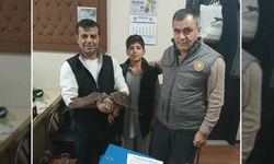 Muş'ta yaralı şahin duyarlı vatandaşlarca kurtarıldı