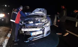 Otomobil Ata Çarptı: At Telef Oldu, Araç Kullanılamaz Hale Geldi