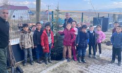 Tatvan’daki Okullar “Yeşil Vatan” Projesiyle Fidanlarla Buluşuyor