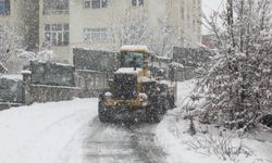 Bitlis’te Kardan Kapanan 290 Köy Yolunun 203’ü Ulaşıma Açıldı
