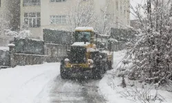 Bitlis’te Kardan Kapanan 181 Köy Yolunun 133’ü Ulaşıma Açıldı