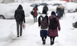 Van’da Kar Tatili: Okullara 1 Gün Ara Verildi