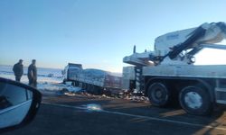 Kontrolden çıkan tır yoldan çıkarak tarlaya uçtu