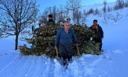 Köylülerin kızaklarla meşe yaprağını taşıma mesaisi