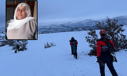 Diyarbakır’da Kaybolan Kadını Arama Çalışmaları 3’üncü Gününde Sürüyor