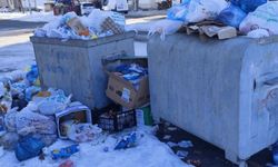 Batman'da biriken çöpler tepkiye neden oldu