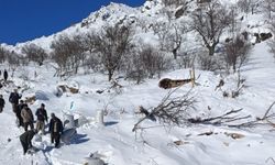 Çığ felaketi: Ahırlar çöktü, çok sayıda hayvan telef oldu