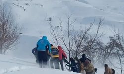 Hamile Hasta Helikopterle Van’a Sevk Edildi