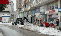 Bitlis'te kar kütlesinin altında kalarak hayatını kaybeden kız gözyaşları arasında defnedildi