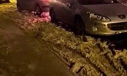 Park halindeki otomobil alevlere teslim oldu