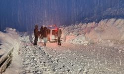 Hakkari–Van yolunda iki çığ arasında kalan 5 araç kurtarıldı