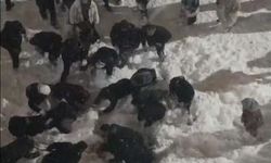 Hakkâri’de çatıdan düşen kar kütlesi öğrenciyi yaraladı