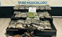 Durdurulan araçta 30 kilo skunk ele geçirildi