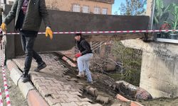 12 Katlı Binanın Giriş Merdiveni Çöktü: Facianın eşiğinden Dönüldü