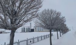 Van’da Sibirya soğukları hayatı olumsuz etkiliyor