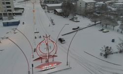 ‘Cevizler Diyarı’ Adilcevaz’da kartpostallık kış manzaraları