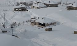 Hakkari'de kar yağışı: 229 yerleşim yerinin yolu kapandı