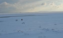 ‘Kuş cenneti’ Arin Gölü tamamen buz tuttu