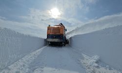 Adilcevaz’da Kar Hayatı Felç Etti: Valilikten Kar Savurma Makinesi Desteği