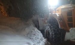 Bitlis-Hizan karayolunda çığ