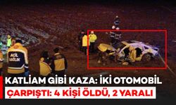 Katliam Gibi Kaza: İki Otomobil Çarpıştı, 4 Ölü, 2 Yaralı