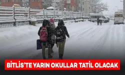 Bitlis'te Okullar 1 Gün Tatil Edildi