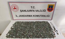 Tarihi Eser Kaçakçılığına Darbe