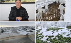 Şiddetli kar ve don Batman tarımını vurdu: Tonlarca sebze zarar gördü