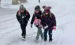 Kar yağışı nedeniyle eğitime ara verilen iller açıklandı